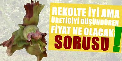 Rekolte 21 Temmuz'da açıklanacak.
