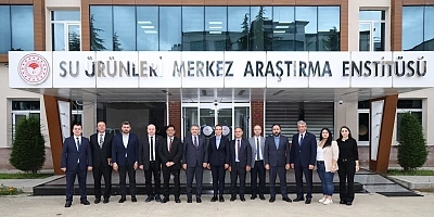 Somon Trabzon'dan İhraç Edilir