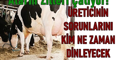 Süt Üreticisi Dertli