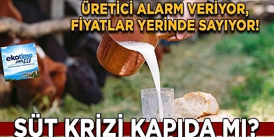 SÜTTE KRİTİK MAKAS BÜYÜYOR: ÜRETİCİ LİTRE BAŞINA 4,20 TL ZARARDA