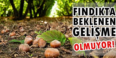 Tartışma Ne Zaman Bitecek!