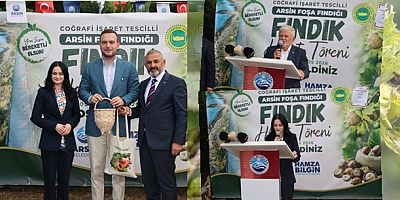 Trabzon'da Fındık Hasadı Başladı! Coğrafi İşaretli Arsin Foşa Fındığında Gözler Şimdi Fiyatlarda