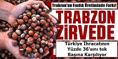 Trabzon neden Türkiye'nin fındık ihracatının yüzde 36'sını tek başına yapıyor?