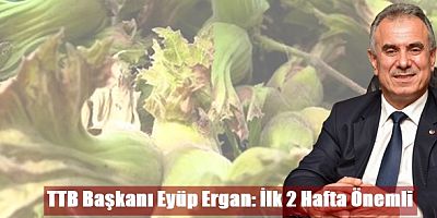 Trabzon Ticaret Borsası Başkanı Eyyüp Ergan: Fındıkta ilk fiyatlara göre hareket edilmemeli