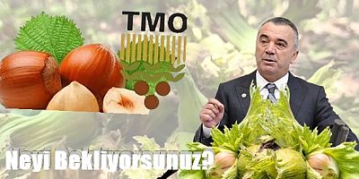 Üretici Bahçeye Girdi, TMO Hâlâ Fiyat Açıklamadı!