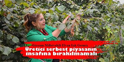 Üretici serbest piyasanın insafına bırakılmamalı