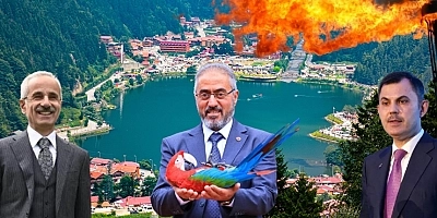 Uzungöl Bakanlardan ne istiyor? İlk sırada o talep var...