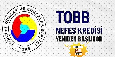 Yeniden Başlıyor