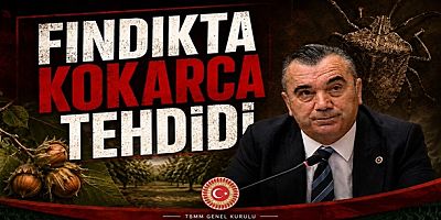 Yine Kokarca: Yine Tehlike
