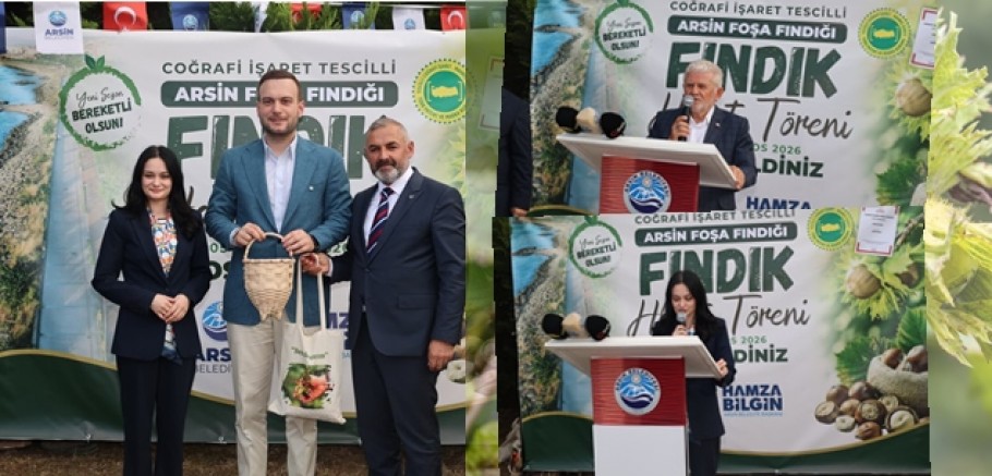 Trabzon'da Fındık Hasadı Başladı! Coğrafi İşaretli Arsin Foşa Fındığında Gözler Şimdi Fiyatlarda