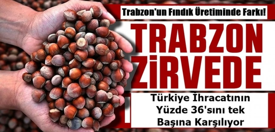 Trabzon neden Türkiye'nin fındık ihracatının yüzde 36'sını tek başına yapıyor?